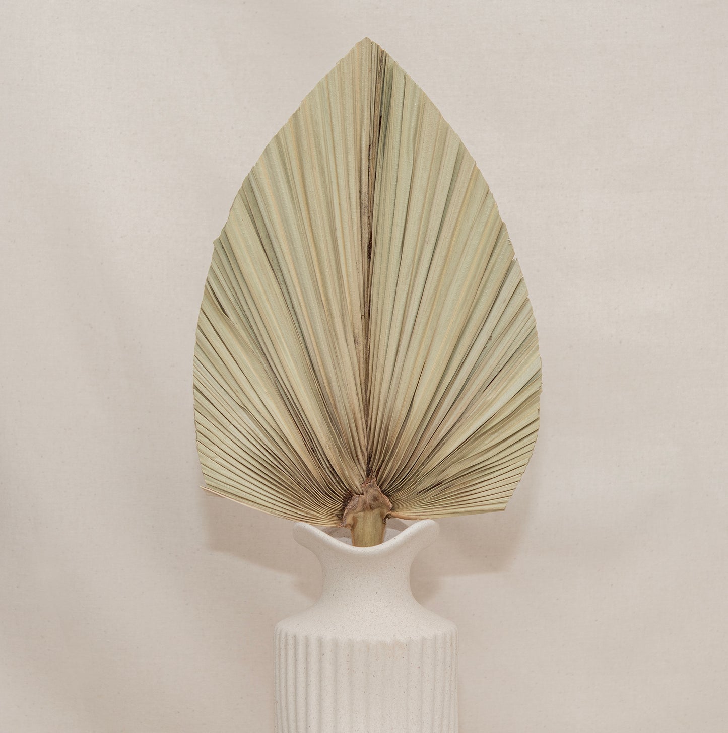 Sun Palm Dry Leaf Spade Shape