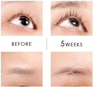 Eyelash Princess Essence Plus (6pcs)